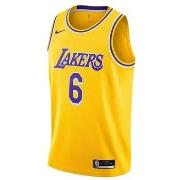 T-shirt Korte Mouw Nike Nba Los Angeles Lakers Lebron James Swingman
