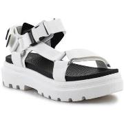 Sandalen Palladium Pallacruise Strap Star