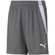 Korte Broek Puma Teamliga