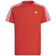 T-shirt Korte Mouw adidas 3s Tee