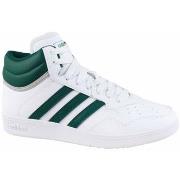 Laarzen adidas Hoops 4.0