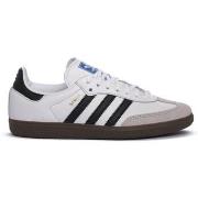 Lage Sneakers adidas Samba Og J
