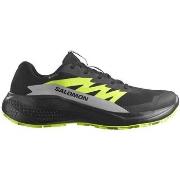 Hardloopschoenen Salomon Alphaglide Gtx