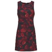 Korte Jurk Desigual PETOFRUNCE
