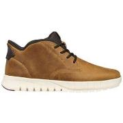 Laarzen Geox Bottines