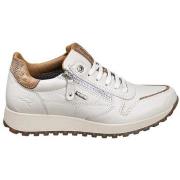Lage Sneakers Kangaroos SNEAKERS 900