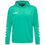 Sweater hummel Sweat à capuche Promo Poly vert