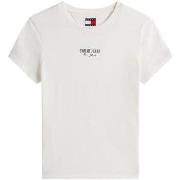 T-shirt Korte Mouw Tommy Jeans DW0DW20913