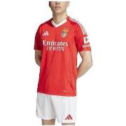 T-shirt Korte Mouw adidas T-shirt Benfica 24/25 rouge