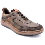 Nette schoenen Fluchos F2253 marrón