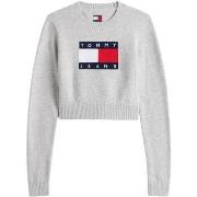 Trui Tommy Hilfiger TJW SPARKLE FLAG SWE DW0DW21690
