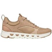 Lage Sneakers Geox Baskets D Spherica Ecub-4 A beige