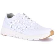 Lage Sneakers Grunland DSG-SC6197