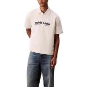 T-shirt Korte Mouw Calvin Klein Jeans SS PREMIUM TERRY REL LV04RC243G