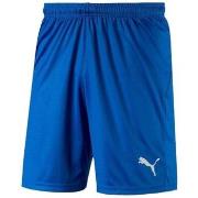 Korte Broek Puma Liga Shorts Core