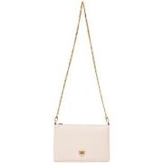 Handtasje Pinko FLAT CLASSIC 100455 A0F1