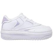 Lage Sneakers Reebok Sport Club C Extra