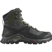 Wandelschoenen Salomon Quest Gtx