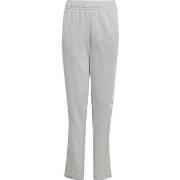 Trainingsbroek adidas Squadra 25