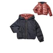 Donsjas Ikks XV41022