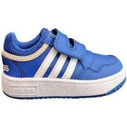 Lage Sneakers adidas hoops
