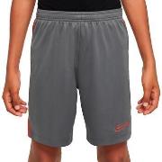Korte Broek Nike Dri-Fit Academy