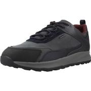 Sneakers Geox U TERRESTRE B ABX