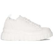 Lage Sneakers Café Noir DG9330BI