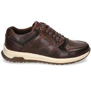 Lage Sneakers Rhostock JACKS-10
