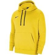 Sweater Nike Team Park 20 Hoodie