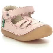Ballerina's Kickers Sushy