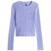 Trui Tommy Hilfiger -