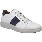 Lage Sneakers Josef Seibel Maddox