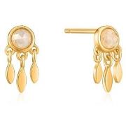 Oorbellen Ania Haie e02606g