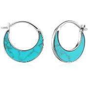 Oorbellen Ania Haie e02707h