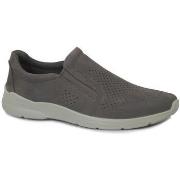 Lage Sneakers Ecco ECC-CCC-511644-MO