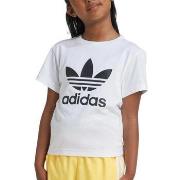 T-shirt Korte Mouw adidas -
