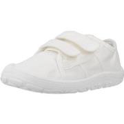 Lage Sneakers Victoria BOSCO BASKET
