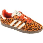 Lage Sneakers adidas adidas Samba OG
