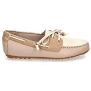 Bootschoenen Stephen Allen LAUR-25