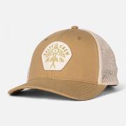 Pet Salty Crew Flyer ops trucker