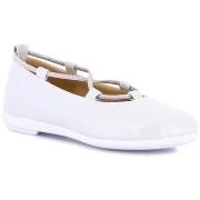 Ballerina's Grunland DSG-SC5161