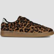 Lage Sneakers HOFF ALLEY LEOPARD WOMAN