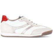 Lage Sneakers Gabor 83.430