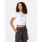 T-shirt Dickies MAPLE VALLEY DK0A4XPO-WHX WHITE