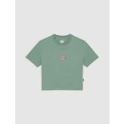 T-shirt Korte Mouw Dickies MAPLE VALLEY DK0A4XPO-L191 SEA SPRAY