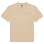 T-shirt Korte Mouw Dickies LURAY - DK0A4YFC-F951 IRISH CREAM