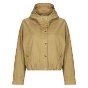 Windjack Morgan GCAMIS