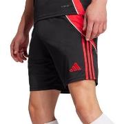Korte Broek adidas -