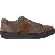 Lage Sneakers Pius Gabor 1040.14.04